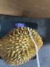 维达（Vinda）有芯卷纸 蓝色经典4层200克*10卷 厚韧大分量 卫生纸厕纸 卷筒纸 实拍图