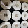 洁柔有芯卷纸 黑Face加厚4层200克*27卷 高克重 卫生纸卷筒纸纸巾整箱 实拍图