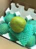京鲜生安徽砀山青翠梨 净重4.5斤 单果200-250g+ 新鲜水果 源头直发 实拍图