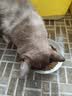 阿飞和巴弟蛋奶酥猫粮成猫幼猫全价鸡肉味主粮 鸡肉鸡蛋配方1kg 实拍图