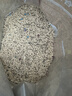 好奇（Huggies）金装小黑洞拉拉裤XL96片(12-17kg)尿不湿【速干不易红】 实拍图