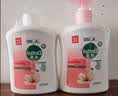 滴露（Dettol）健康抑菌洗手液滋润倍护500g 消毒抑菌99.99% 儿童适用不含酒精 实拍图