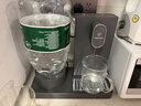 西屋（Westinghouse）即热式饮水机家用迷你小型台式桌面 桶装水速热开水机自动上水办公室保温杯 WFH-S4 实拍图
