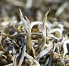 陈一凡茉莉香尖 2026新茶横派茉莉白毫花茶浓香型茶叶自己喝量贩装250g 实拍图