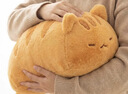 Murcia趴趴猫咪抱枕小猫猫玩偶女生睡觉抱毛绒软公仔生日礼物男女孩 实拍图
