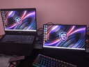 雕塑家18.5英寸便携式显示器2k 280Hz高刷100%sRGB色域 Ps4/5游戏电竞扩展屏笔记本电脑一线直连MQ18LF 实拍图