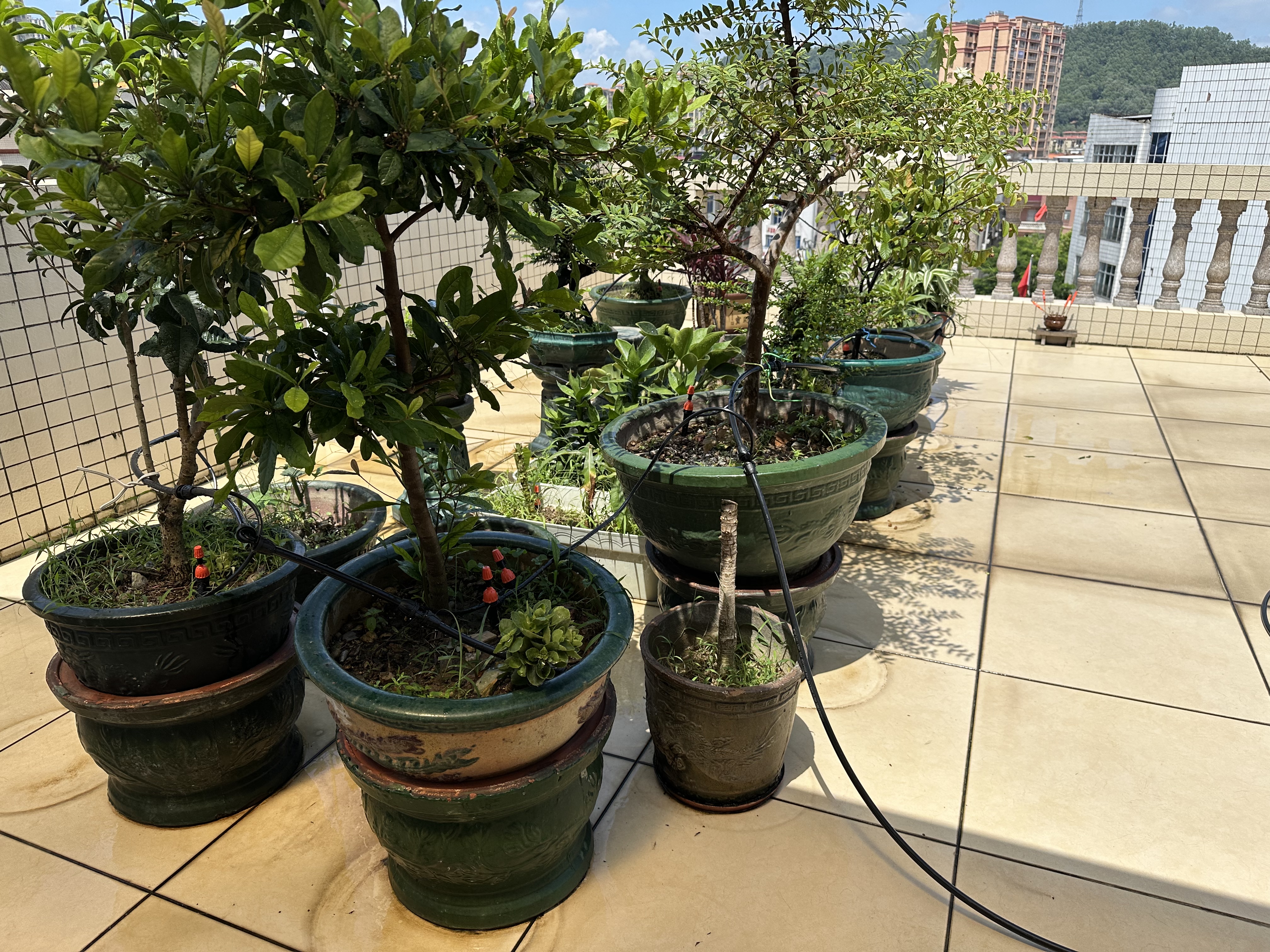 耐德斯特中文大屏自动浇花器定时浇水神器智能灌溉控制器+两用喷头20组 实拍图