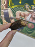 京东京造全牛肉大礼包风干牛肉干麻辣牛肉粒6种零食组合48包量贩灯影牛筋 实拍图