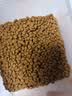 力狼猫粮 幼猫成猫通用天然猫食 宠物店猫咪主粮 牛肉味10kg20斤 实拍图