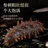 宫壹大连即食海参2斤16-25只 京东自营 家装 免泡发 底播辽刺参 实拍图
