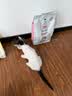 诚实一口K01全价幼猫粮孕猫乳铁蛋白新西兰绵羊奶配方1.5kg 实拍图