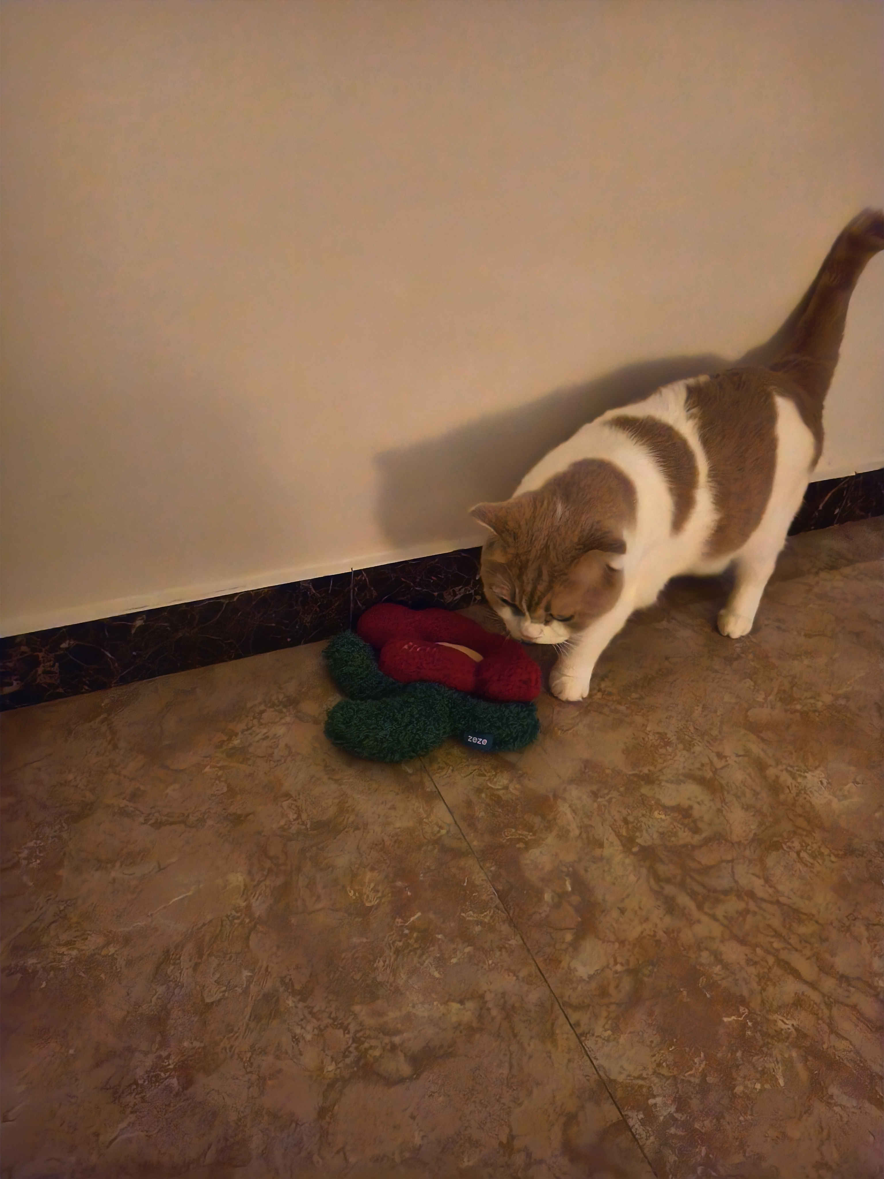 ZEZE有钱花猫薄荷抱枕猫玩具自嗨解闷逗猫棒猫猫玩具耐咬宠物用品 实拍图