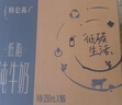 蒙牛特仑苏低脂纯牛奶250ml×16盒 健身减脂 送礼优选礼盒装 实拍图