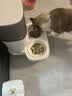 霍曼（Homerun）宠物智能自动喂食器猫粮定时猫咪自动投食机陶瓷双碗增高版PF20 实拍图