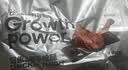 光合力量 10袋手枪腿去皮大鸡腿排烟熏无防腐开袋即食 源头直发 包邮 实拍图