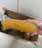 京鲜生 东北小糯九黄糯玉米150g*10棒 真空包装黏玉米棒 源头直发 实拍图
