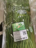 七鲜24小时绿色韭菜 250g 实拍图