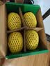 佳沛（zespri）新西兰阳光金果4粒装单果约103-114g 猕猴桃新鲜水果源头直发 实拍图