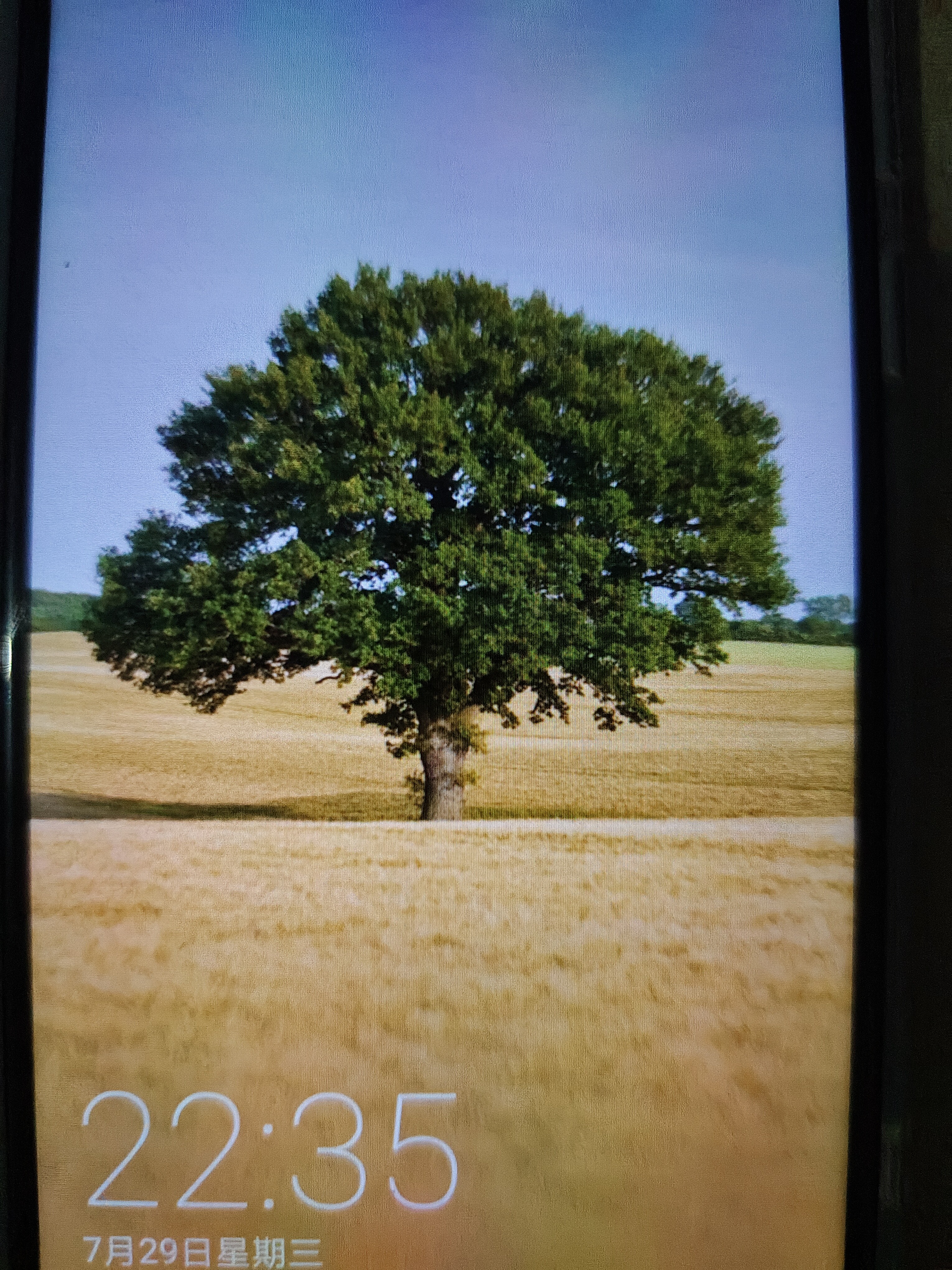 华为（HUAWEI）华为畅享9 二手手机 智能机 工作机 学生机老年机 畅享9幻夜黑（颜色随机评价有礼） 4GB+64GB 9成新 实拍图