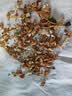 同仁堂北京同仁堂 菊苣栀子茶降茯苓葛根茶养生花草茶150g（5g*30袋） 实拍图