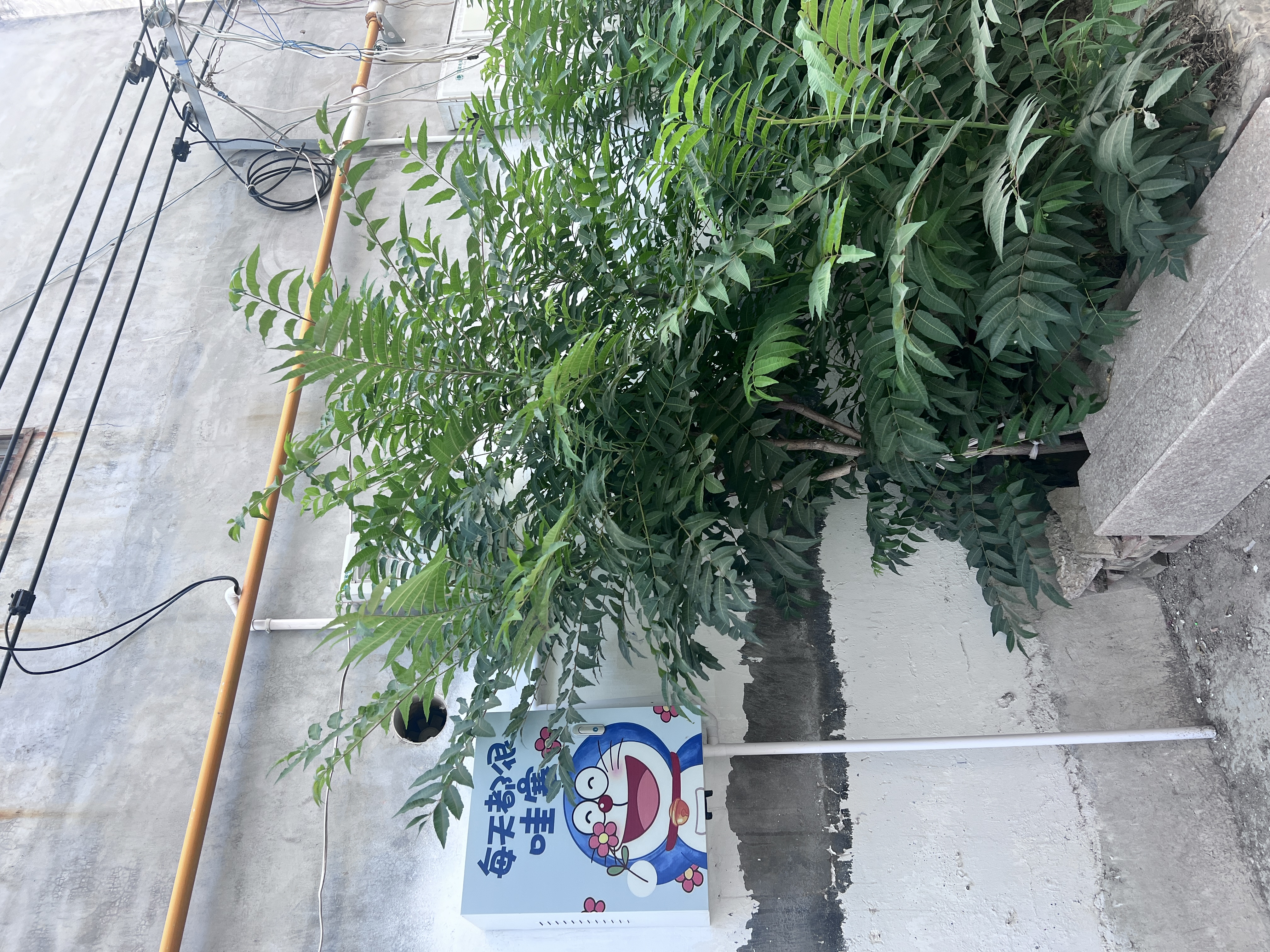 得力500张手工折纸10色学生彩纸剪纸美术绘画软卡纸DIY大中小A4儿童开学文具生日开学礼物 实拍图