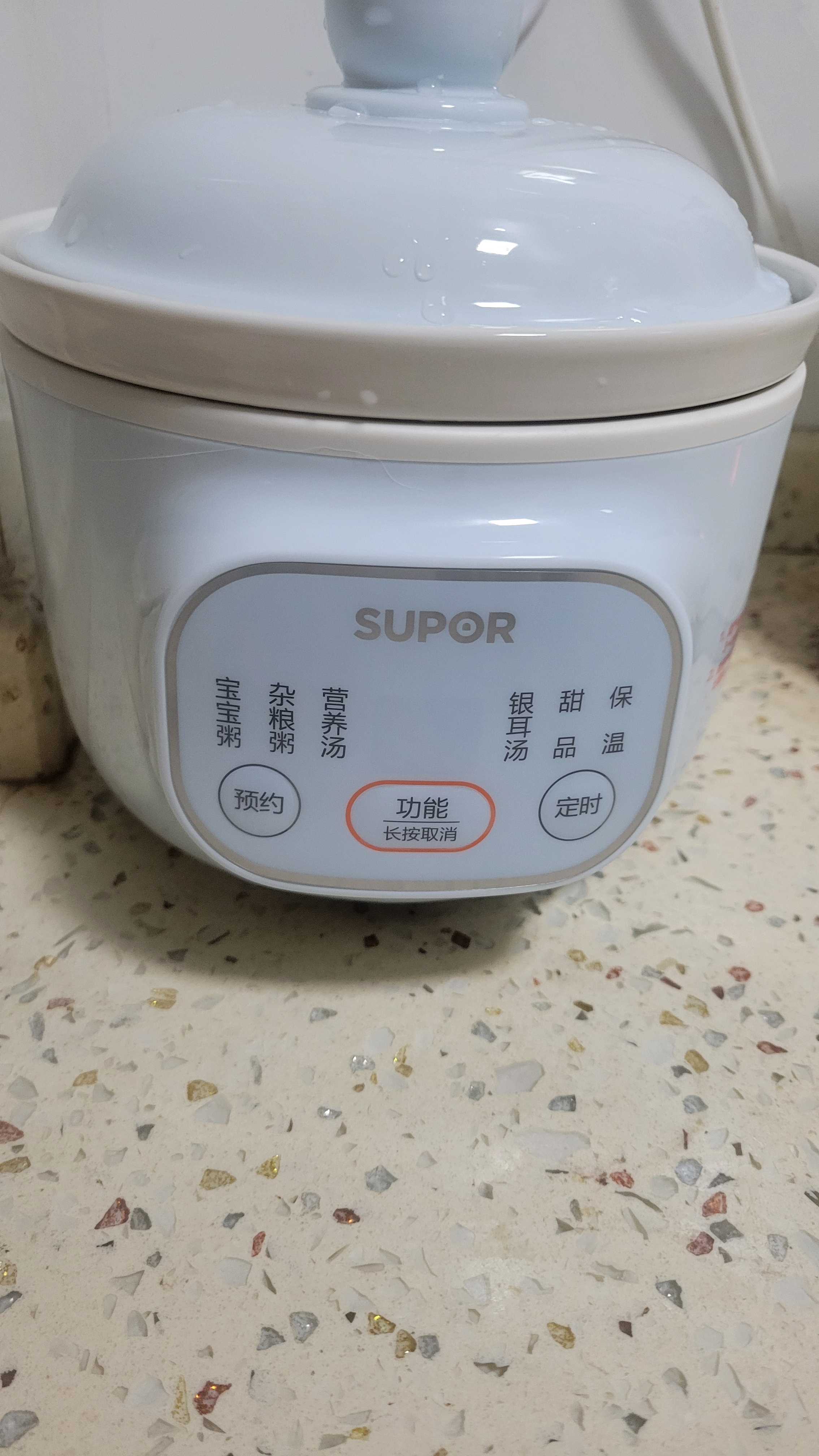 苏泊尔（SUPOR）电炖锅 电炖盅 煲汤锅炖汤锅 燕窝炖盅熬粥煮粥神器 bb煲婴儿辅食锅 电煮电汤锅DG10YC883多功能锅 实拍图