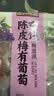 三只松鼠陈皮梅有葡萄100g*3袋酸甜果脯蜜饯葡萄夹心开胃果干休闲零食 实拍图