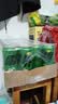 可口可乐（Coca-Cola）檀健次代言 雪碧Sprite零卡无糖饮料 330ml*24摩登罐 实拍图