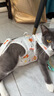 华元宠具（hoopet）猫咪绝育服宠物母猫小狗狗幼猫手术服透气断奶服公猫防舔术后衣服 实拍图
