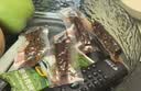 蒙亮手撕风干牛肉干七成干内蒙古特产独立小包装休闲零食 香辣 七成干500g*1包 500g 实拍图