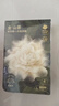 babycare山茶花高腰一次性内裤女士孕妇产后大码日抛旅行免洗 L码4条 实拍图