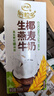 伊利【新鲜日期】谷粒多生椰燕麦牛奶200ml*12盒 礼盒装 实拍图