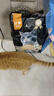 亿迪 猫粮幼猫成猫10斤全价国产布偶流浪猫蓝猫英短全阶段专用 实拍图