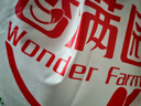 香满园 面粉 中筋粉 美味富强小麦粉 20斤 包子饺子馒头饼手擀面 实拍图
