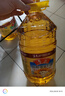 鲁花 食用油 物理压榨 葵花仁油6.18L  实拍图