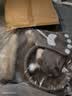 喵仙儿猫爬架大型一体猫窝多层跳台剑麻猫抓柱耐磨猫抓板爪印猫玩具 实拍图