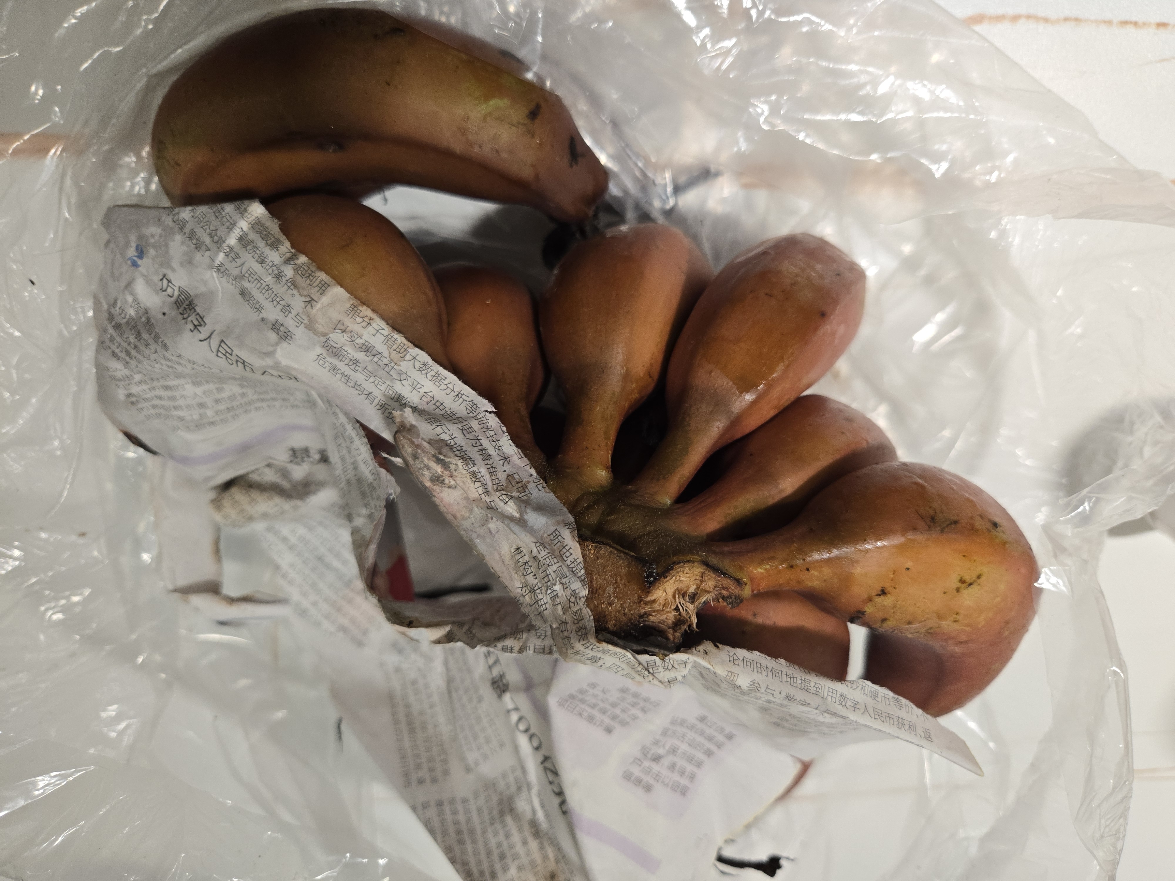 正宗红香蕉红皮美人蕉当季沐真咖啡蕉软糯香甜孕妇新鲜水果香蕉 红香蕉净重3斤装 实拍图