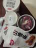 怡达无添加山楂条380g 0添加剂儿童山楂卷山楂干片蜜饯果干果糕零食品 实拍图