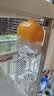 它适雪糕撞针水壶鹦鹉饮水器玄凤鸟用牡丹过年自动喂水器-芒果黄 实拍图