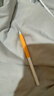 Apple/苹果 Pencil Pro 磁吸触控笔手写笔苹果笔电容笔书写绘画iPad笔 适用于iPad Pro/Air/mini机型 实拍图