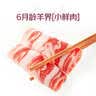 上鲜奥尔良腿排 净重2斤 早餐鸡腿排炸鸡汉堡伴侣代餐速食烧烤食材 实拍图