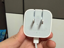 Apple/苹果 40W type-c快充充电器 苹果usb-c原装充电头 旗舰店新款苹果iPhone 17 Pro Max充电器 实拍图
