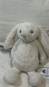 Jellycat害羞乳白色邦尼兔动物毛绒玩偶安抚玩偶娃娃送礼七夕情人节礼物 害羞乳白色邦尼兔 Small 实拍图