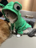 狗狗衣服小中型犬泰迪博美猫咪秋冬新款宠物服饰抓绒卫衣卡通比熊 青蛙卫衣(抽绳款) XL(适合11-16斤) 实拍图