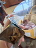 英氏婴幼儿宝宝零食DHA谷物酥饼干蔓越莓味 儿童零食饼干80g 实拍图
