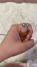 蜜葳特淡纹修护紧致精华油10ml【临期清仓】 实拍图