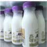 每日鲜语鲜牛奶 3.6g全脂211ml*6 家庭必备 巴氏杀菌乳 低温奶 实拍图