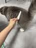 柒哦猫梳子跳蚤梳猫咪除蚤排梳狗狗梳子去跳蚤梳密齿梳神器猫用品 大除蚤排梳【大号】 实拍图
