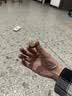 贝卫多默沙东狗体外驱虫药12周1粒长效驱虫驱杀跳蚤蜱虫半年装10-20kg 实拍图