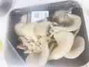 房山平菇300g 实拍图